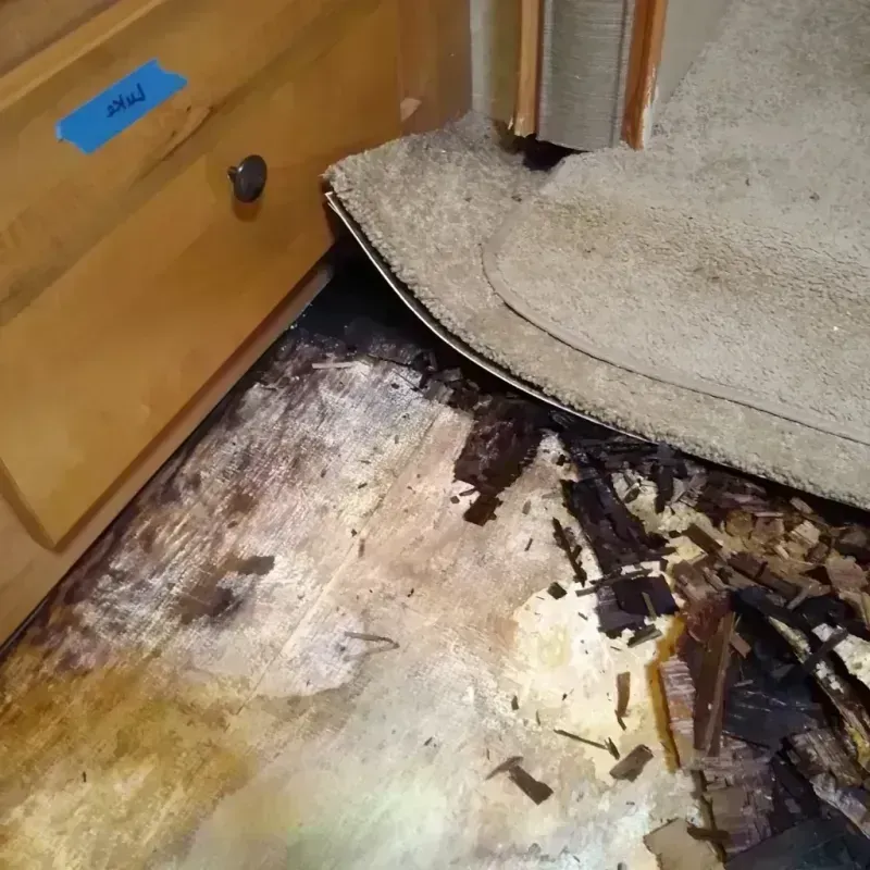 Wood Floor Water Damage in Crystal City, MO